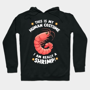 This is my Human Costume Funny Halloween Shrimp Hoodie